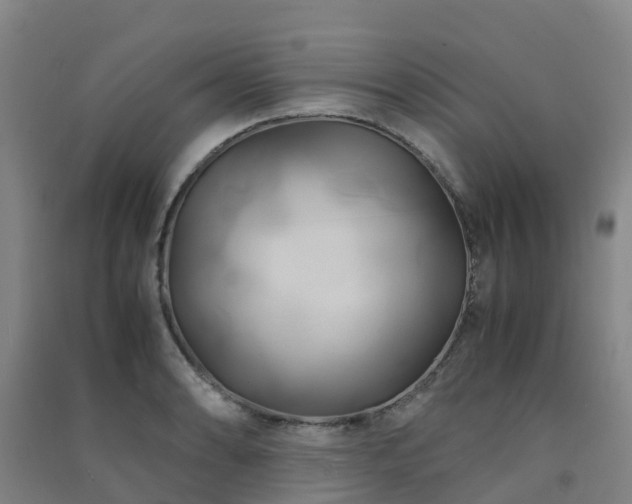 X0000091501086200708161454