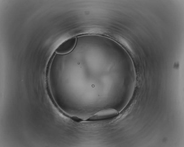 X0000091501087200708161454