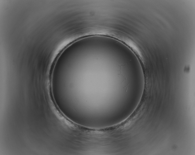X0000091501088200708161454