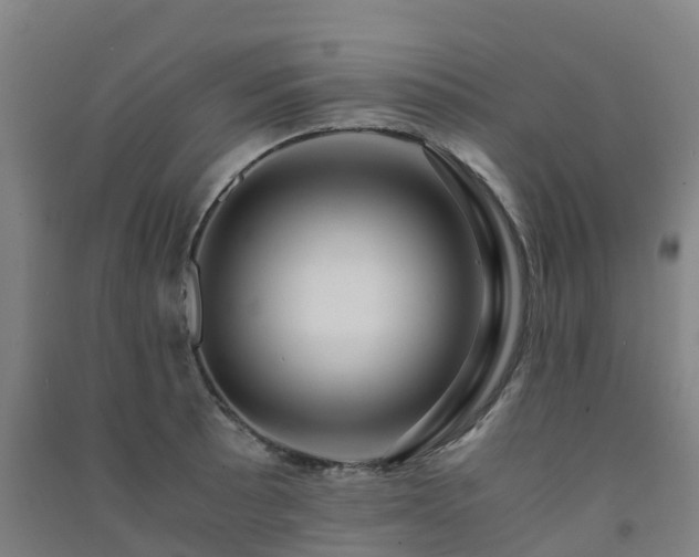 X0000091501089200708161454
