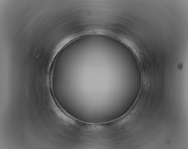 X0000091501090200708161454