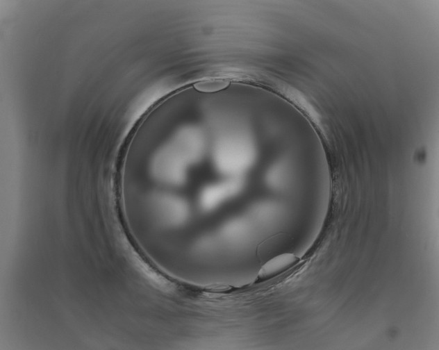 X0000091501091200708161454