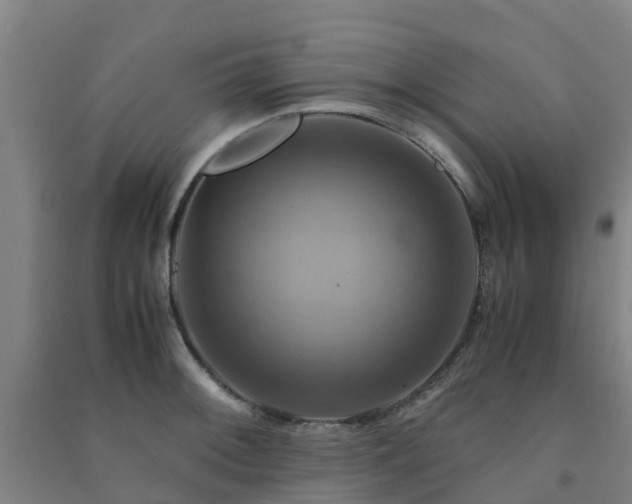 X0000091501092200708161454