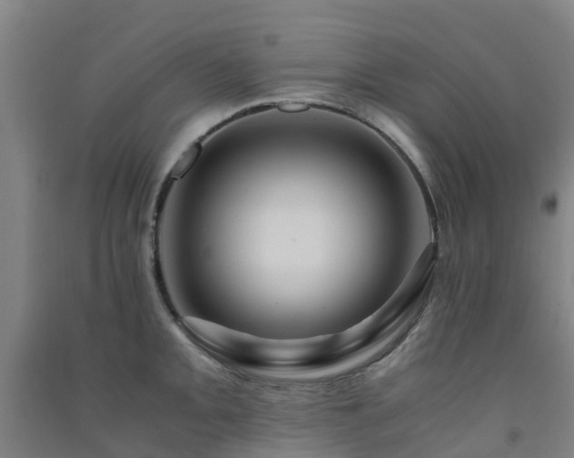 X0000091501093200708161454
