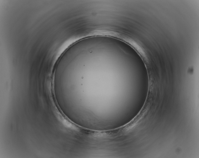 X0000091501094200708161454