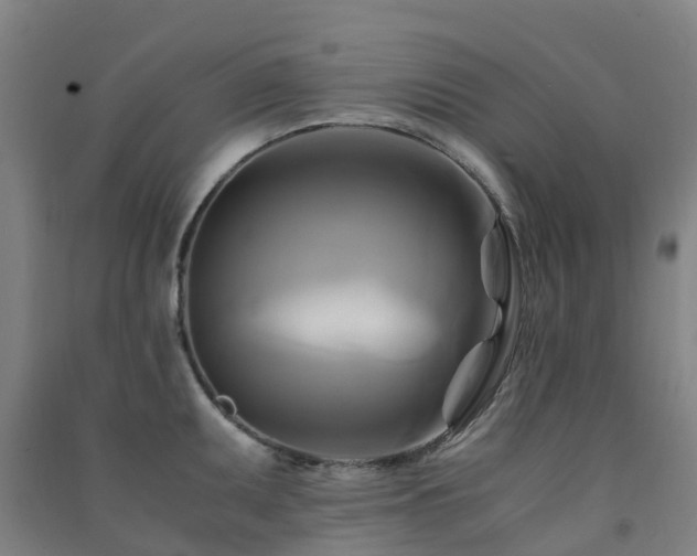 X0000091501095200708161454