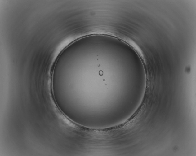 X0000091501096200708161454