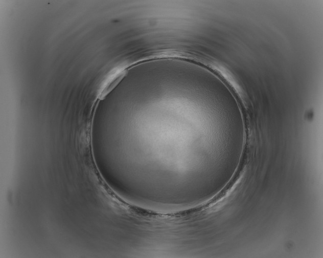 X0000091501097200708161453