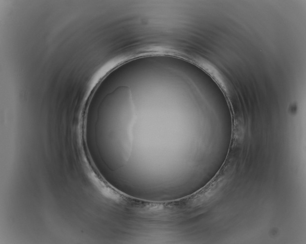 X0000091501098200708161453