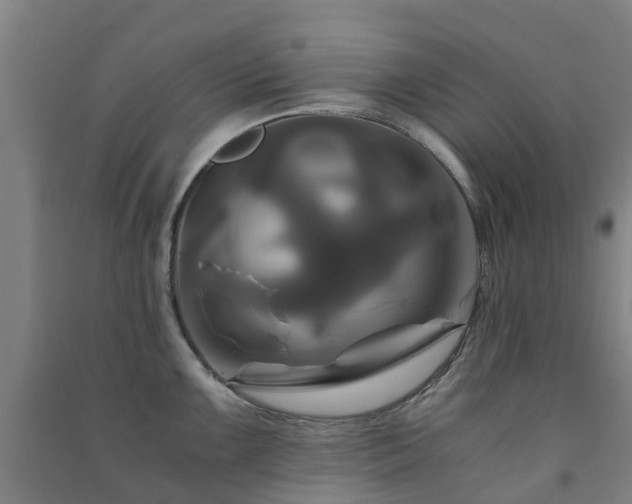 X0000091501099200708161453