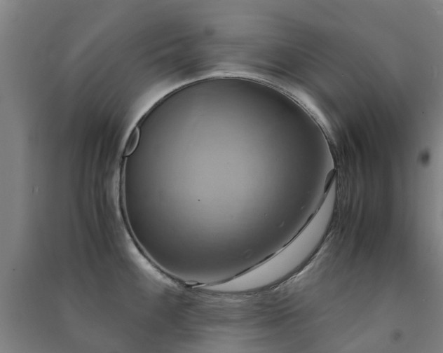 X0000091501100200708161453