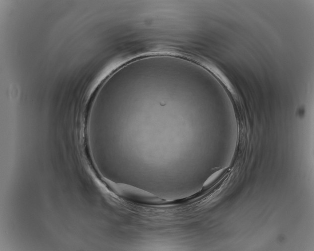 X0000091501101200708161453