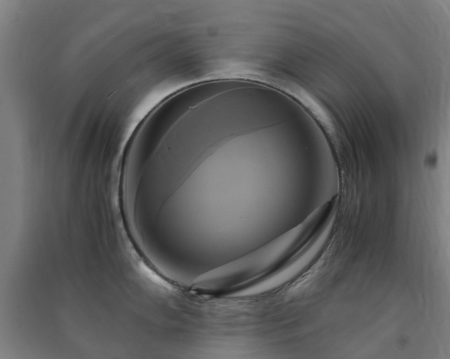 X0000091501102200708161453
