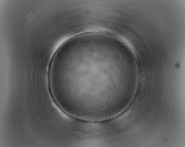 X0000091501103200708161453