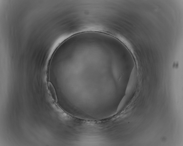 X0000091501104200708161453