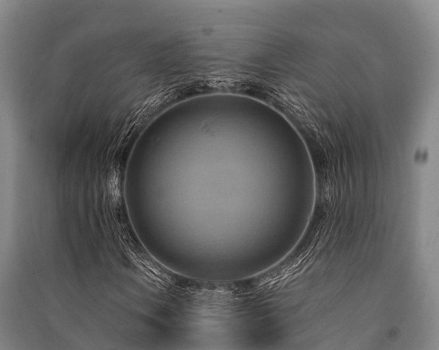 X0000091501106200708161453