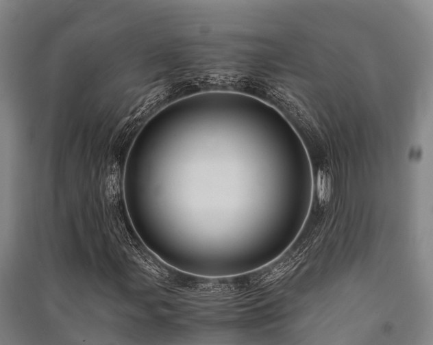 X0000091501107200708161453