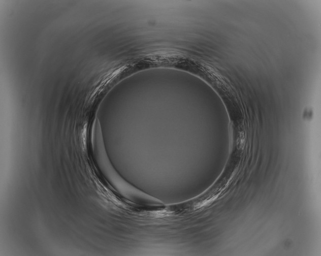 X0000091501108200708161453