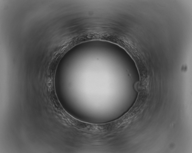 X0000091501109200708161453