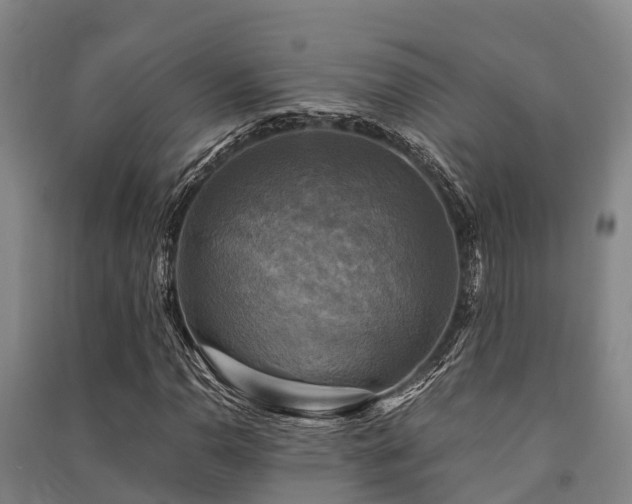 X0000091501110200708161453