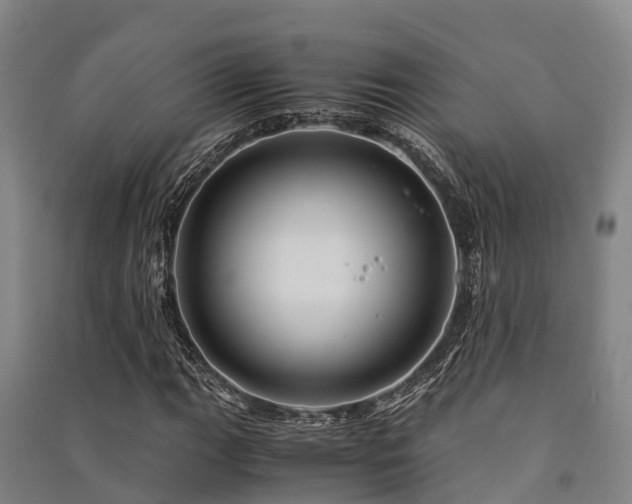 X0000091501111200708161453