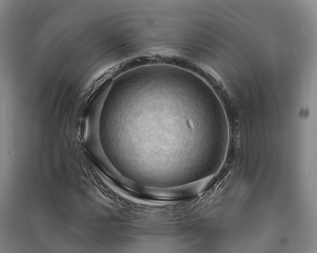 X0000091501112200708161453