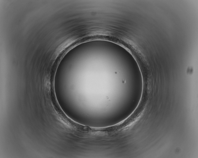 X0000091501113200708161453