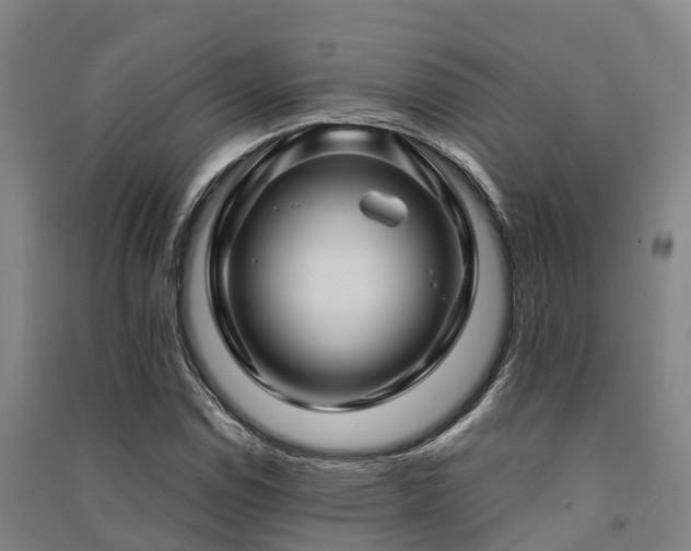 X0000091501114200708161453