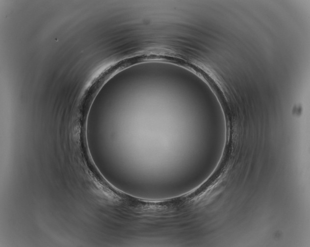 X0000091501115200708161453