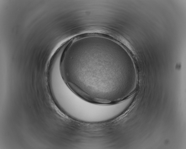 X0000091501116200708161453