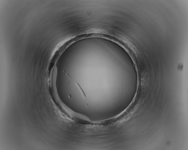 X0000091501117200708161453