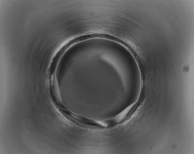 X0000091501118200708161453