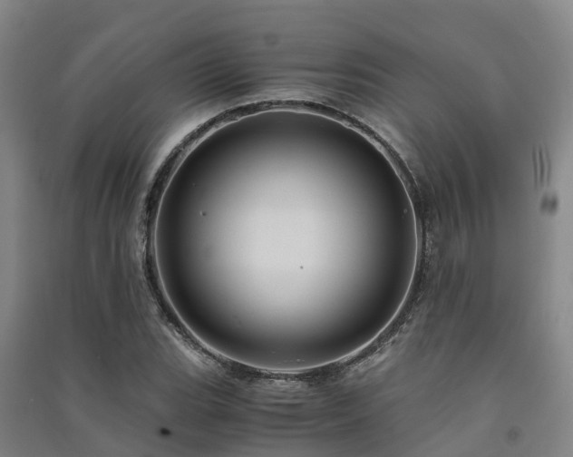 X0000091501119200708161453