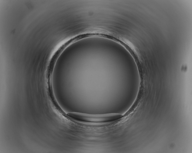 X0000091501120200708161453