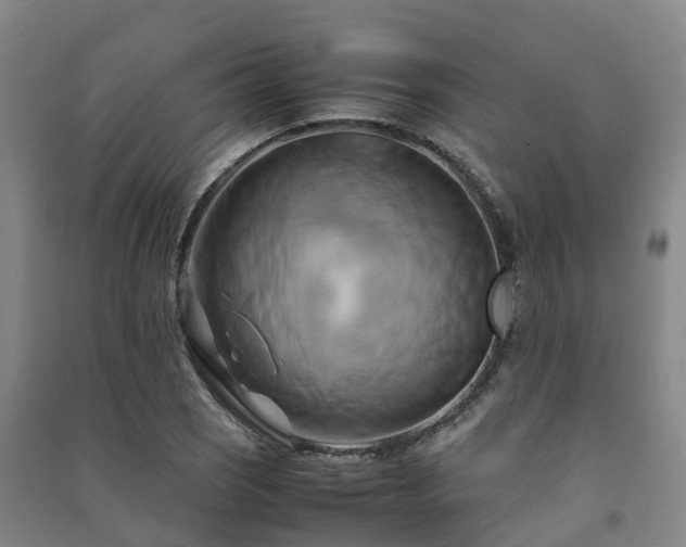 X0000091501121200708161453