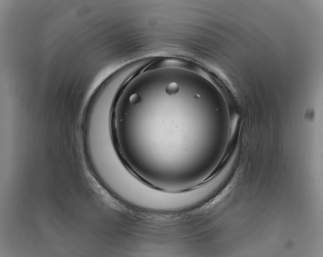 X0000091501122200708161453