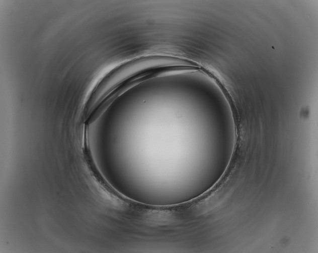 X0000091501123200708161453