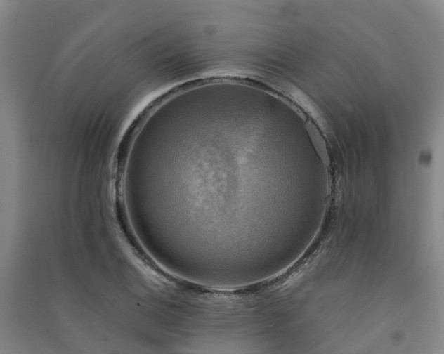 X0000091501124200708161453