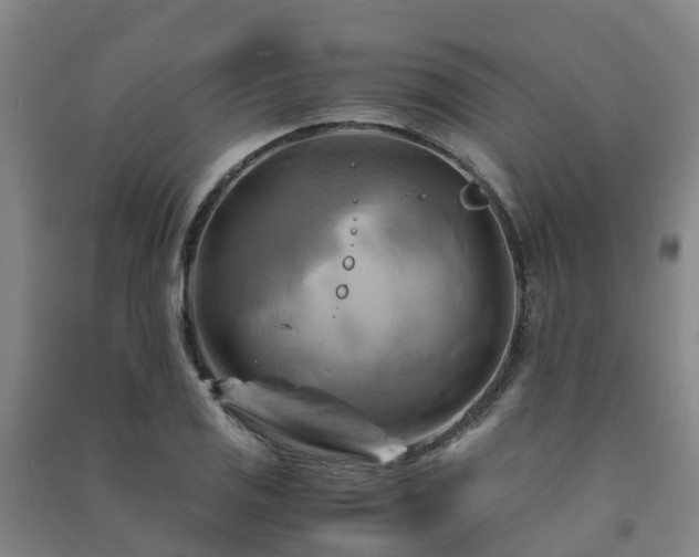 X0000091501125200708161453