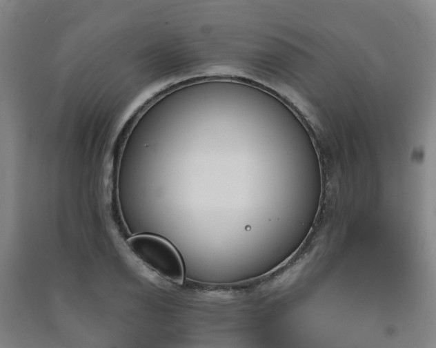 X0000091501126200708161453
