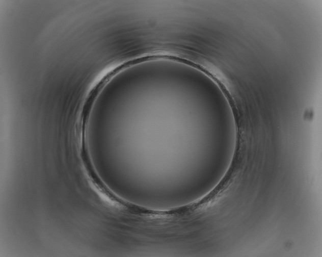 X0000091501127200708161453
