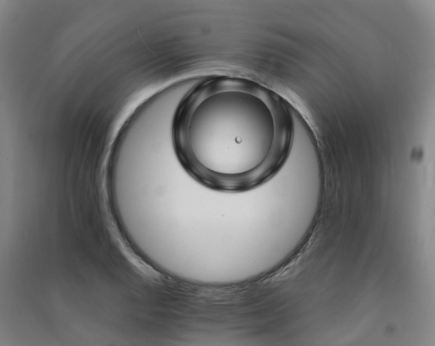 X0000091501128200708161453