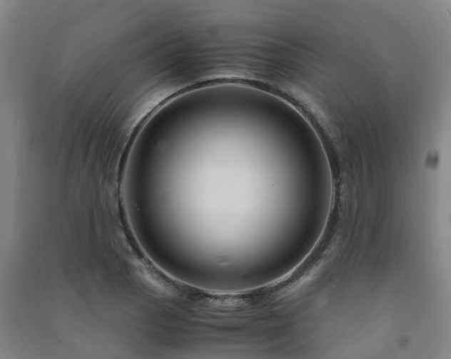 X0000091501129200708161453