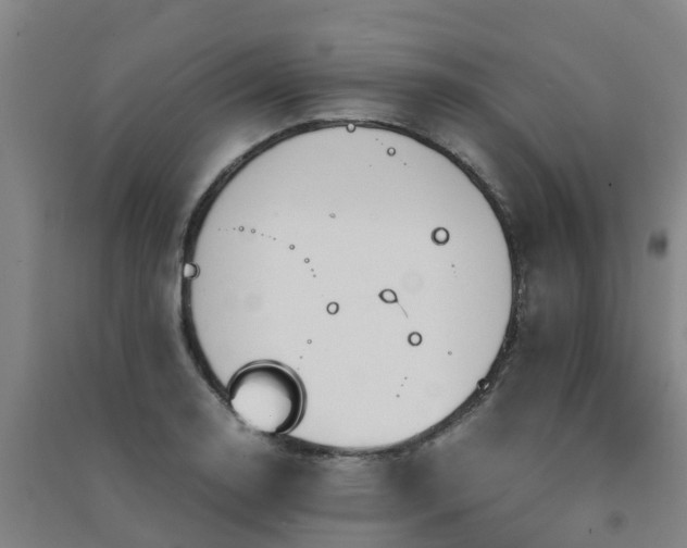 X0000091501130200708161453