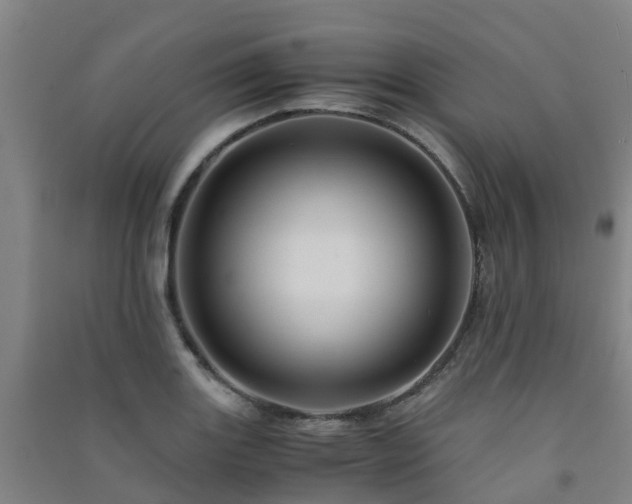 X0000091501131200708161453