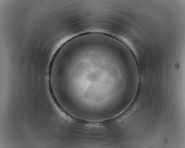 X0000091501133200708161453