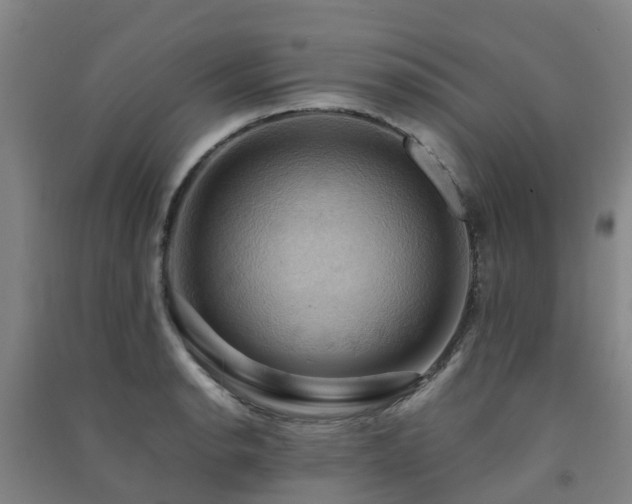 X0000091501134200708161453