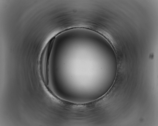 X0000091501135200708161453