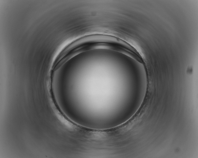 X0000091501136200708161453