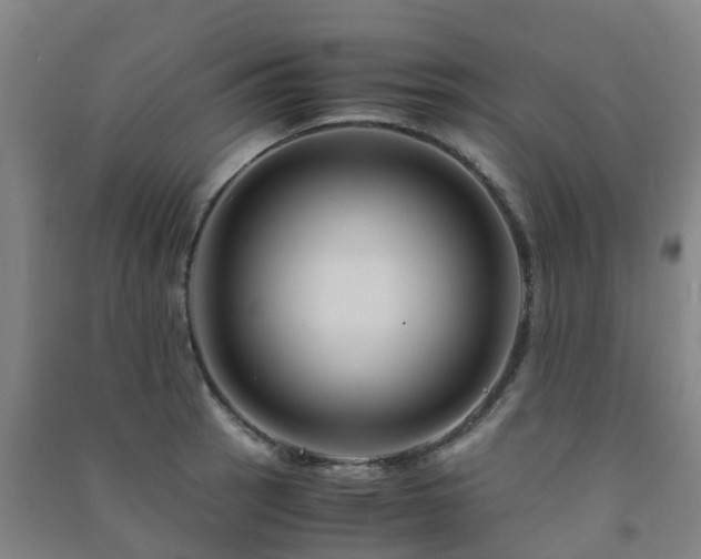 X0000091501137200708161453